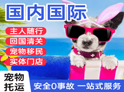 两江空运代理国际宠物托运 【国